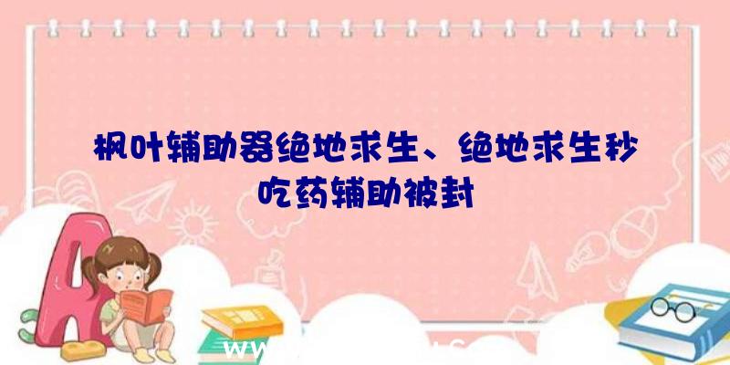 枫叶辅助器绝地求生、绝地求生秒吃药辅助被封