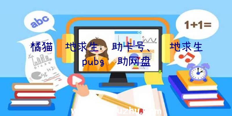 橘猫绝地求生辅助卡号、绝地求生pubg辅助网盘