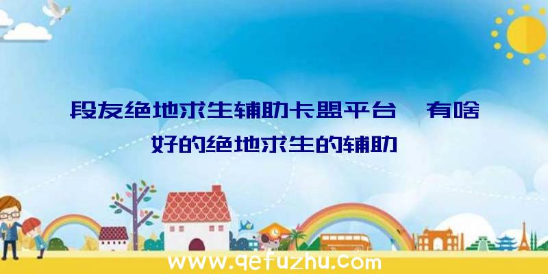 段友绝地求生辅助卡盟平台、有啥好的绝地求生的辅助