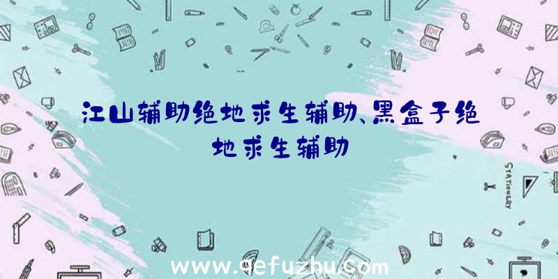 江山辅助绝地求生辅助、黑盒子绝地求生辅助