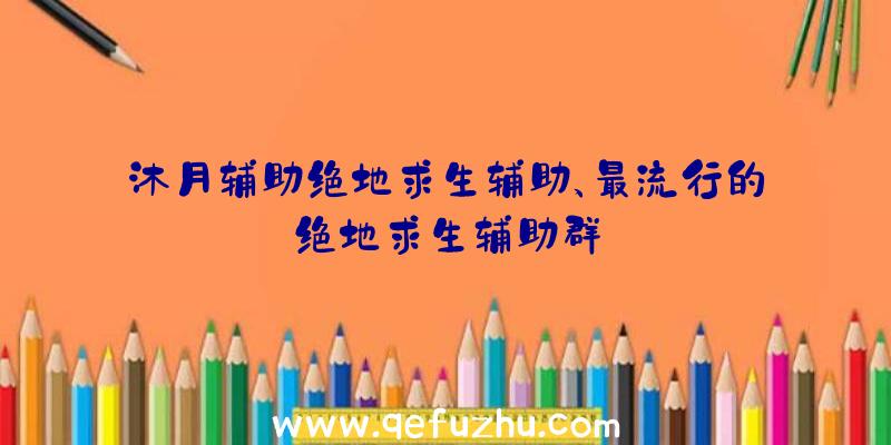 沐月辅助绝地求生辅助、最流行的绝地求生辅助群