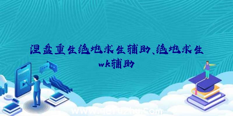 涅盘重生绝地求生辅助、绝地求生wk辅助