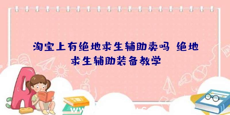 淘宝上有绝地求生辅助卖吗、绝地求生辅助装备教学