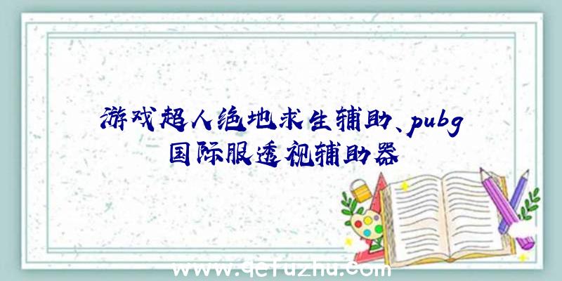 游戏超人绝地求生辅助、pubg国际服透视辅助器