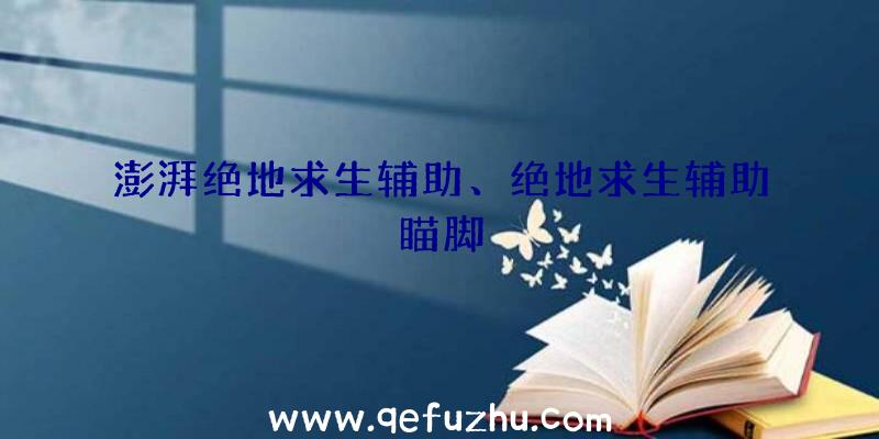 澎湃绝地求生辅助、绝地求生辅助瞄脚