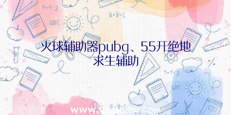 火球辅助器pubg、55开绝地求生辅助