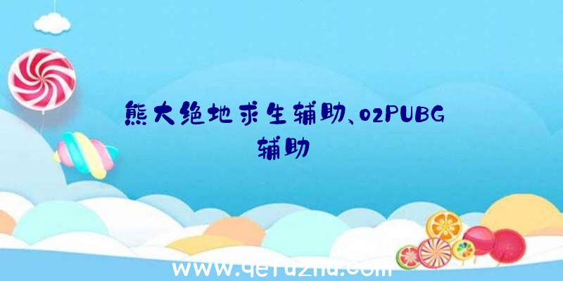 熊大绝地求生辅助、02PUBG辅助