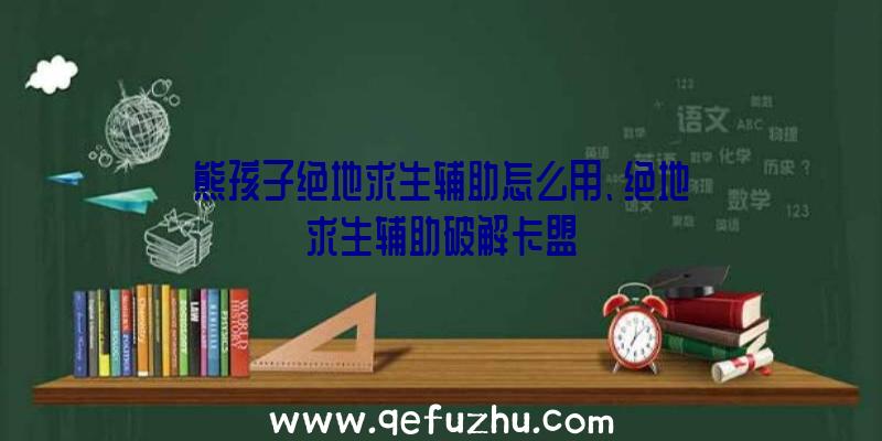 熊孩子绝地求生辅助怎么用、绝地求生辅助破解卡盟