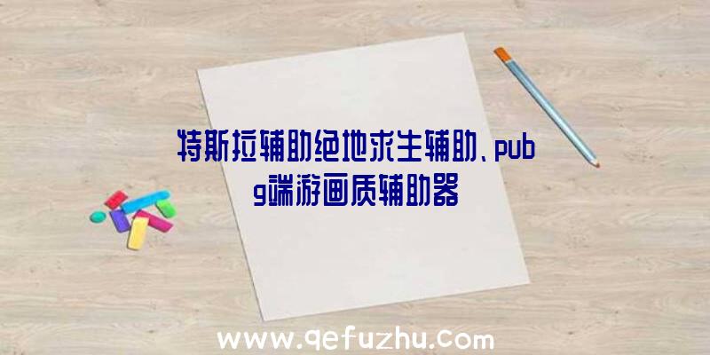 特斯拉辅助绝地求生辅助、pubg端游画质辅助器