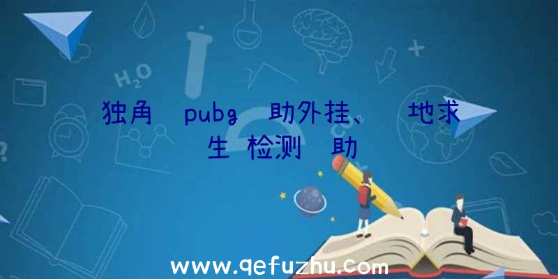 独角鲸pubg辅助外挂、绝地求生