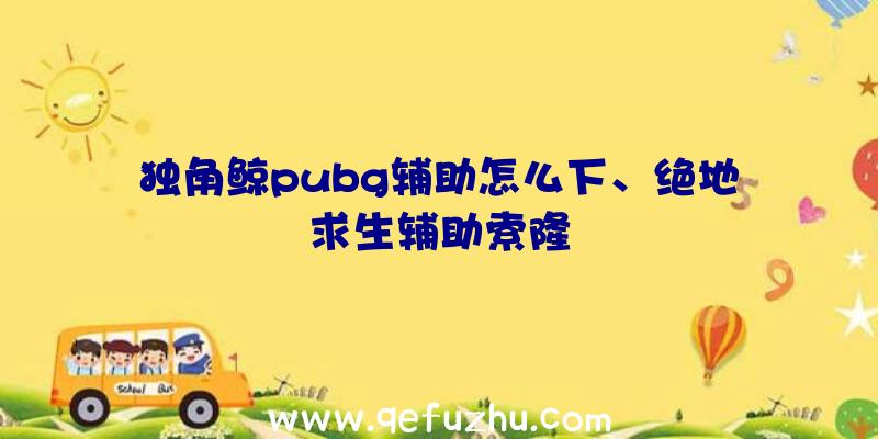 独角鲸pubg辅助怎么下、绝地求生辅助索隆