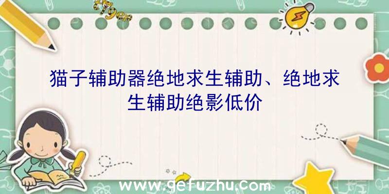 猫子辅助器绝地求生辅助、绝地求生辅助绝影低价