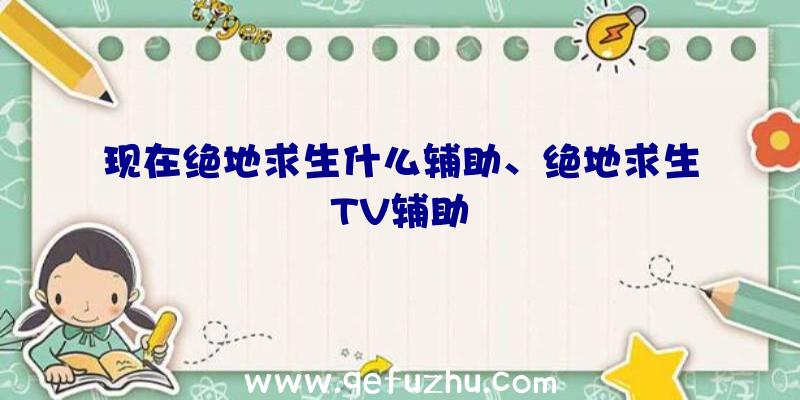 现在绝地求生什么辅助、绝地求生TV辅助