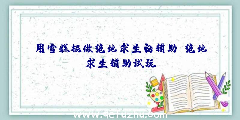 用雪糕棍做绝地求生的辅助、绝地求生辅助试玩