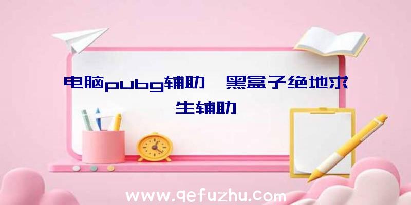 电脑pubg辅助、黑盒子绝地求生辅助