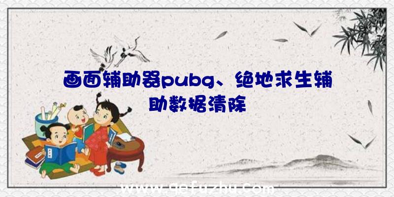 画面辅助器pubg、绝地求生辅助数据清除