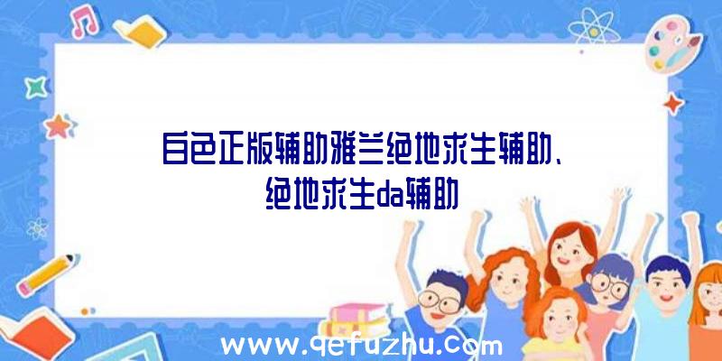 白色正版辅助雅兰绝地求生辅助、绝地求生da辅助