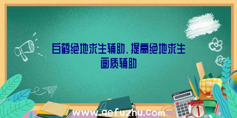 白鹤绝地求生辅助、提高绝地求生画质辅助