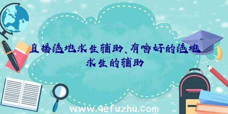 直播绝地求生辅助、有啥好的绝地求生的辅助