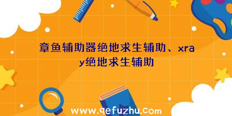 章鱼辅助器绝地求生辅助、xray绝地求生辅助