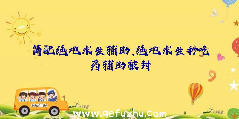 简配绝地求生辅助、绝地求生秒吃药辅助被封