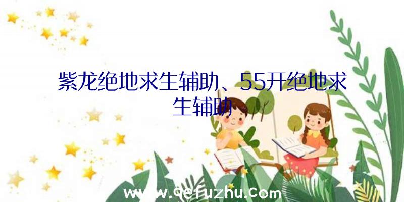 紫龙绝地求生辅助、55开绝地求生辅助