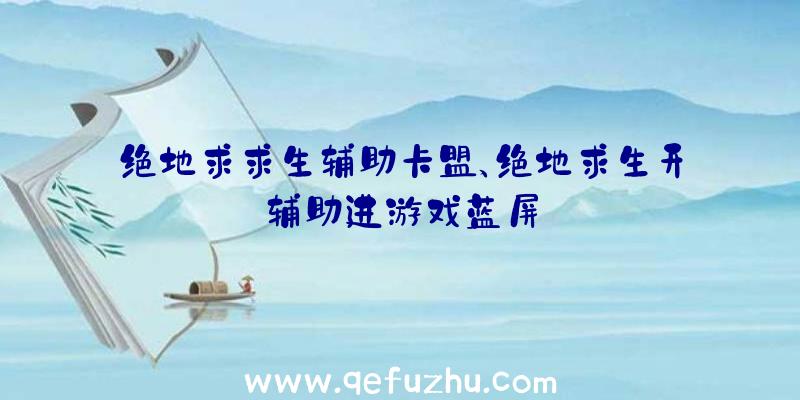 绝地求求生辅助卡盟、绝地求生开辅助进游戏蓝屏