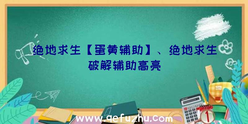 绝地求生【蛋黄辅助】、绝地求生破解辅助高亮