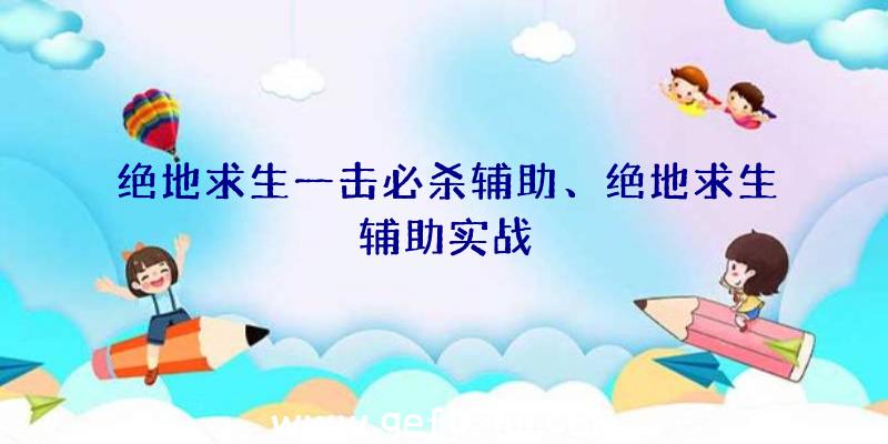 绝地求生一击必杀辅助、绝地求生辅助实战