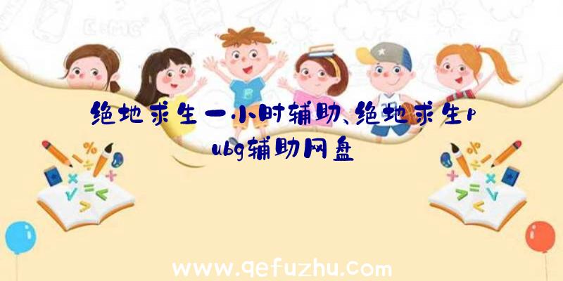 绝地求生一小时辅助、绝地求生pubg辅助网盘