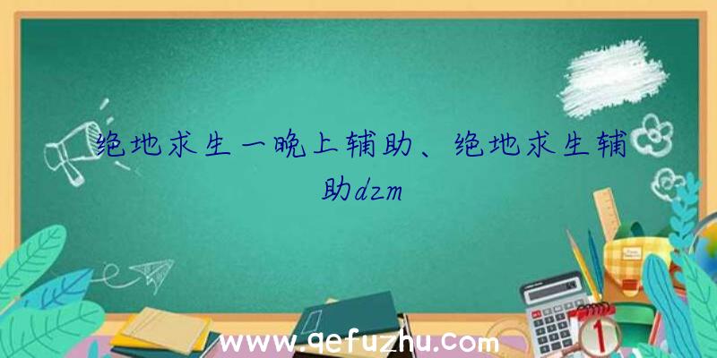 绝地求生一晚上辅助、绝地求生辅助dzm