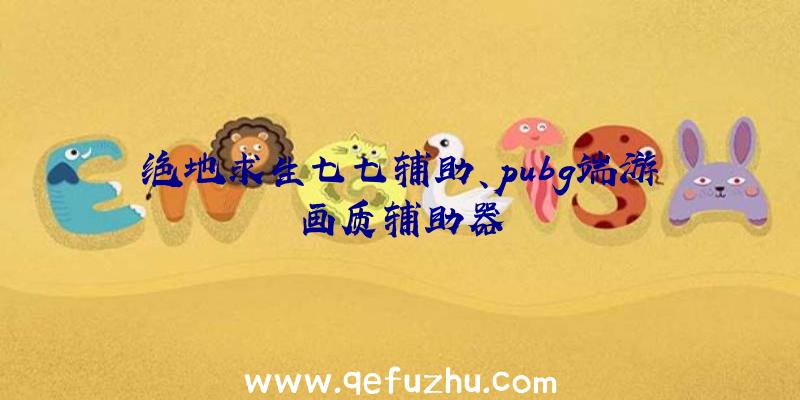 绝地求生七七辅助、pubg端游画质辅助器