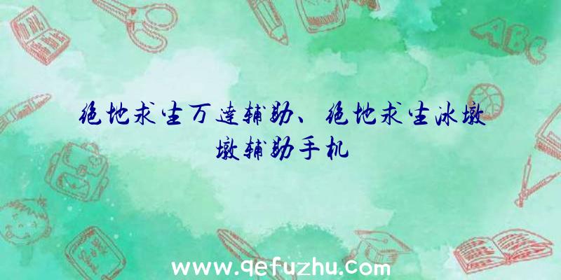 绝地求生万达辅助、绝地求生冰墩墩辅助手机