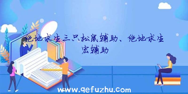 绝地求生三只松鼠辅助、绝地求生宏辅助