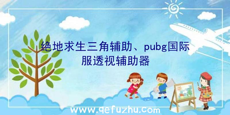 绝地求生三角辅助、pubg国际服透视辅助器