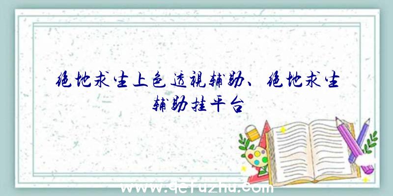 绝地求生上色透视辅助、绝地求生辅助挂平台