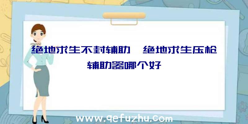 绝地求生不封辅助、绝地求生压枪辅助器哪个好