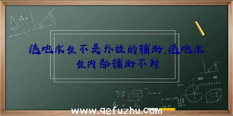 绝地求生不是外挂的辅助、绝地求生内部辅助不封