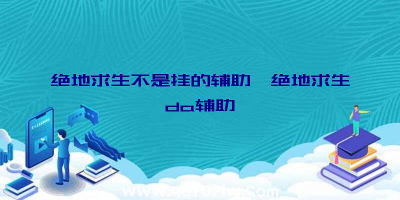 绝地求生不是挂的辅助、绝地求生da辅助