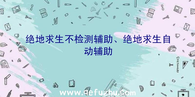 绝地求生不检测辅助、绝地求生自动辅助