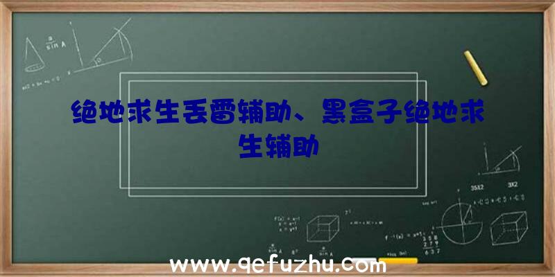 绝地求生丢雷辅助、黑盒子绝地求生辅助