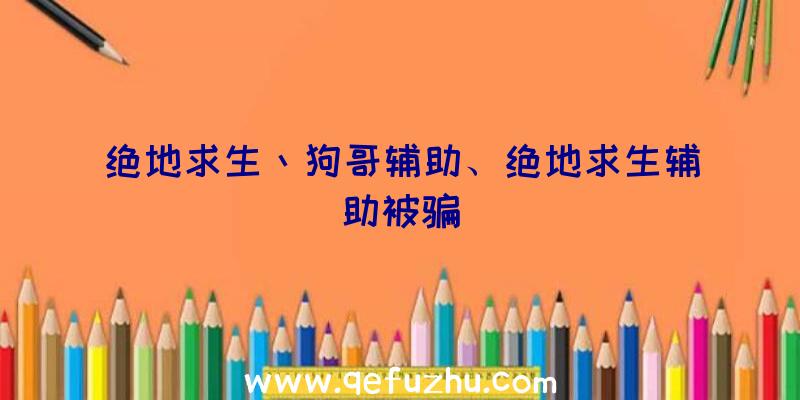 绝地求生丶狗哥辅助、绝地求生辅助被骗