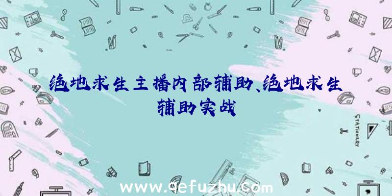 绝地求生主播内部辅助、绝地求生辅助实战