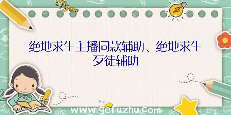 绝地求生主播同款辅助、绝地求生歹徒辅助