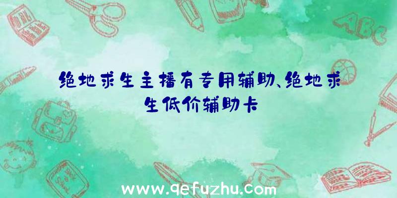 绝地求生主播有专用辅助、绝地求生低价辅助卡