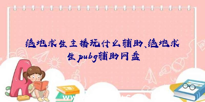 绝地求生主播玩什么辅助、绝地求生pubg辅助网盘