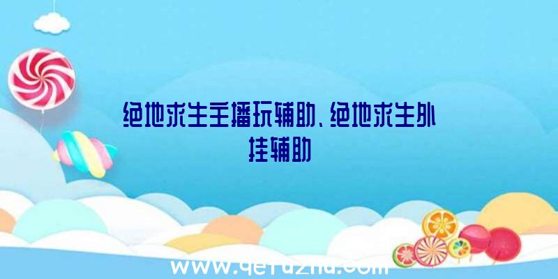 绝地求生主播玩辅助、绝地求生外挂辅助