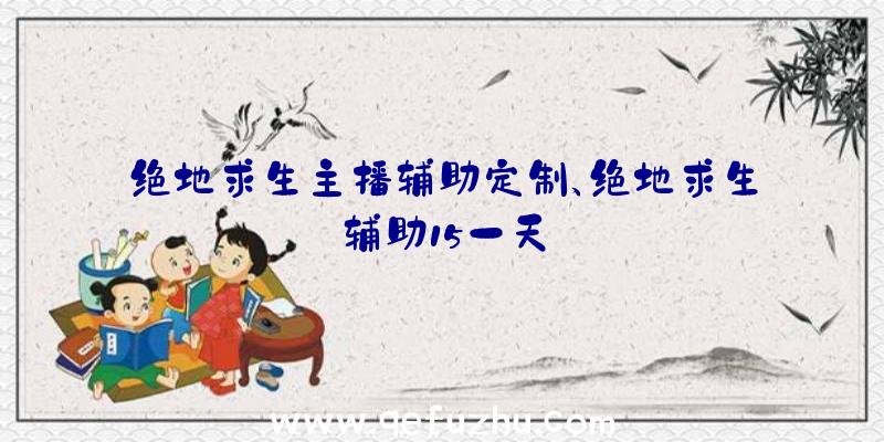 绝地求生主播辅助定制、绝地求生辅助15一天