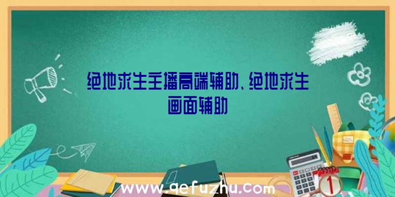 绝地求生主播高端辅助、绝地求生画面辅助