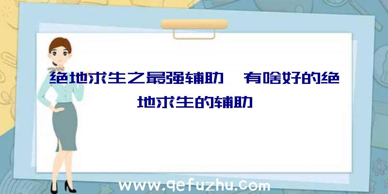 绝地求生之最强辅助、有啥好的绝地求生的辅助